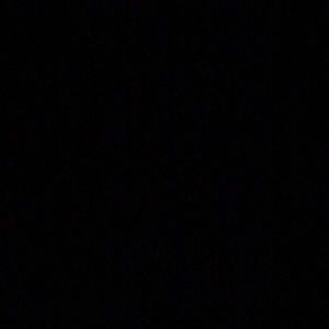 Meet your Posher, Wood jerry